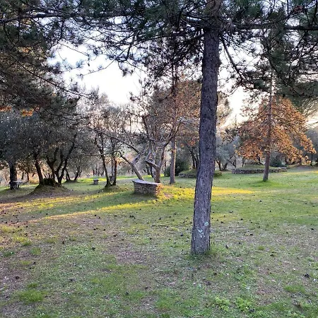 Holiday home Bandita - Tenuta Di Montechiaro *