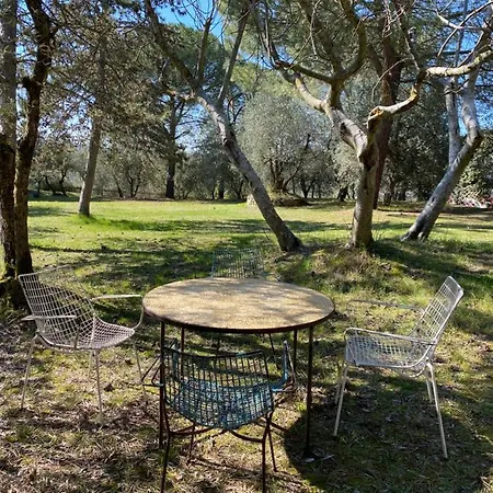 Bandita - Tenuta Di Montechiaro * Vico d'Arbia